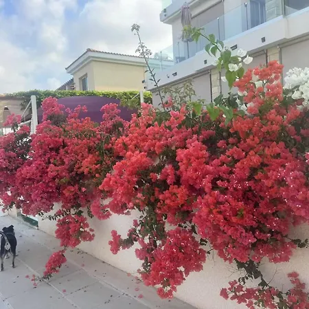 Sea Flower Village Alloggio in famiglia *